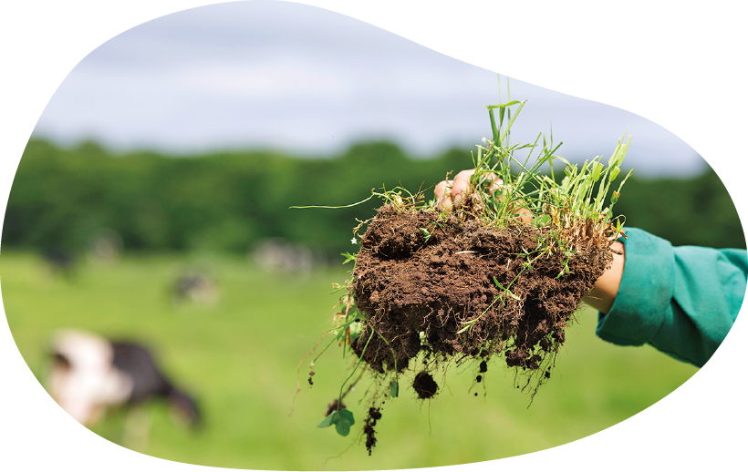 土・牧草