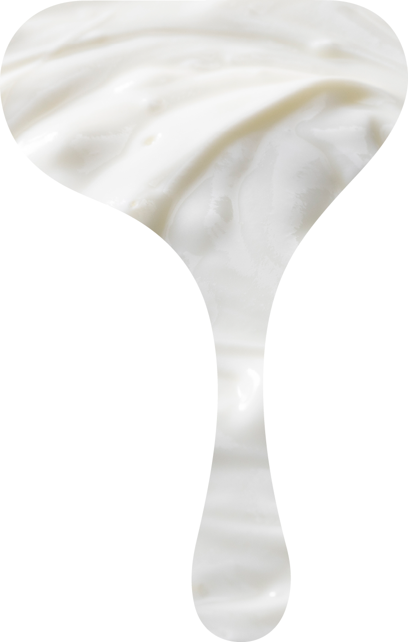 ヨーグルト