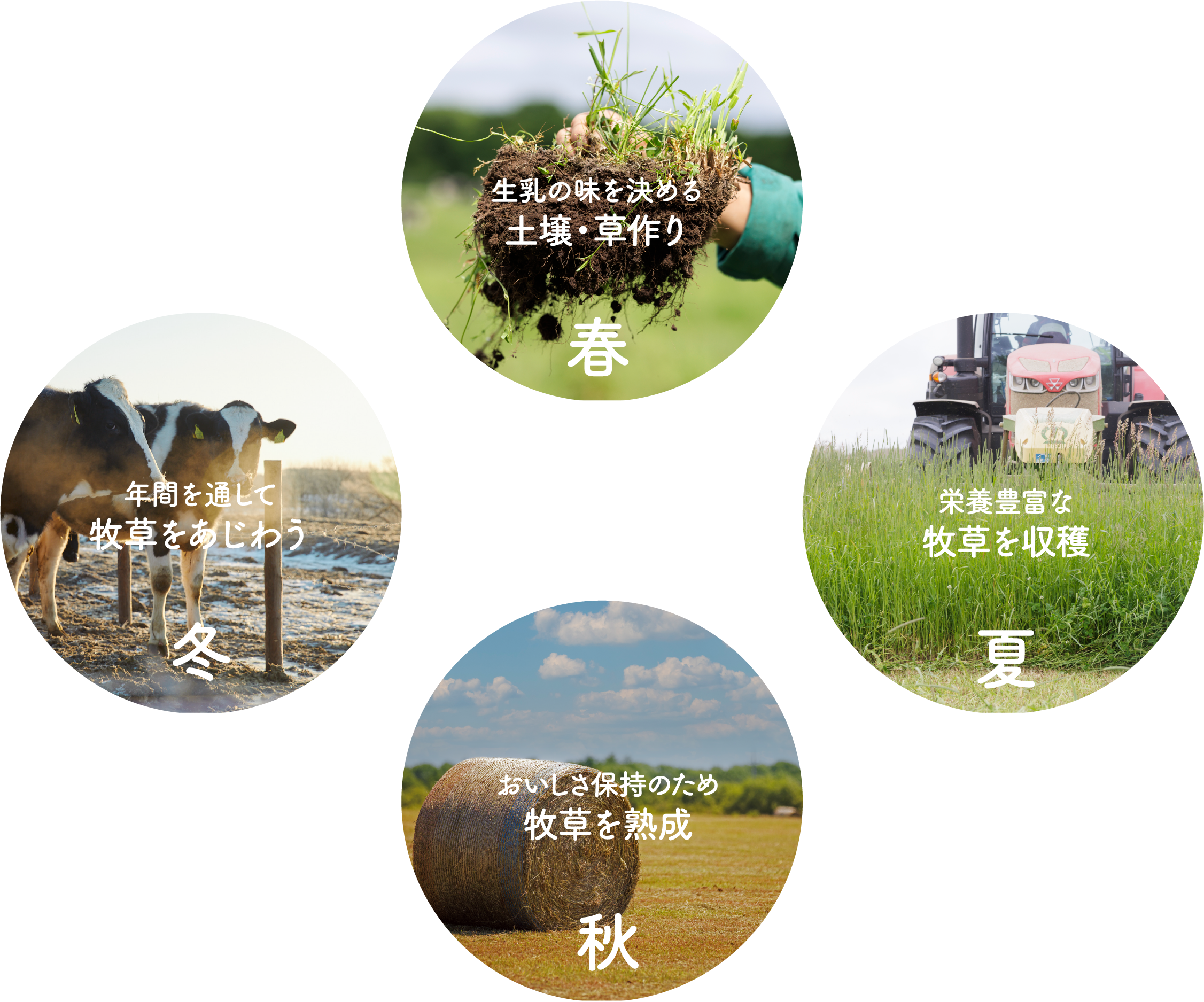 百年の季 | タカナシ乳業株式会社