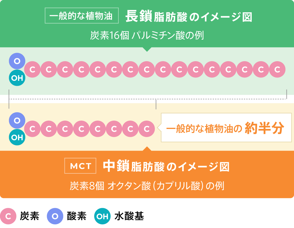 一般的な植物油長鎖脂肪酸のイメージ図