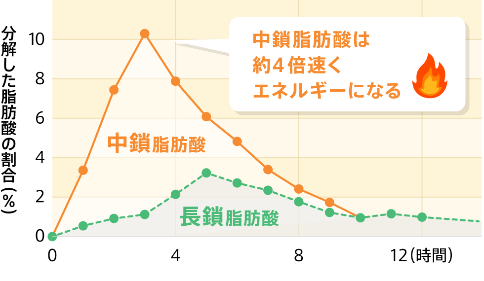 中鎖脂肪酸は約4倍速くエネルギーになる