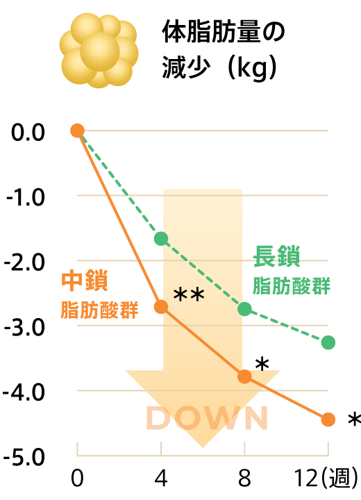 体脂肪量の減少（kg）
