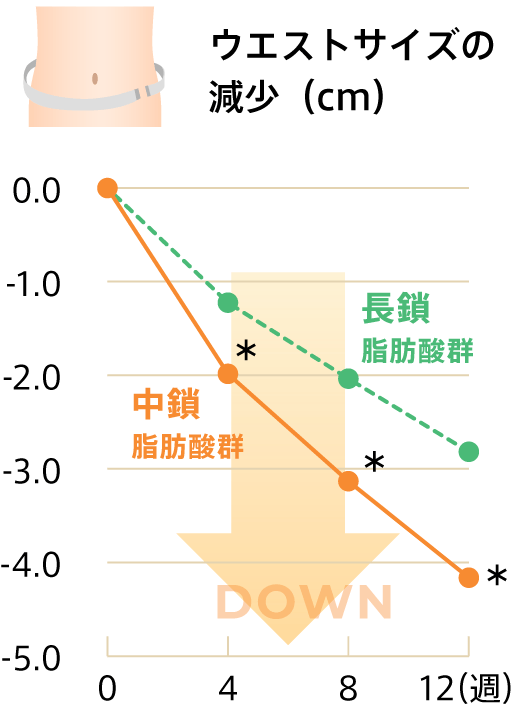 ウエストサイズの減少（cm）