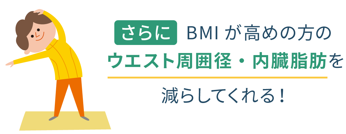 02.さらにBMIが高めの方のウエスト周囲径・内臓脂肪を減らしてくれる！
