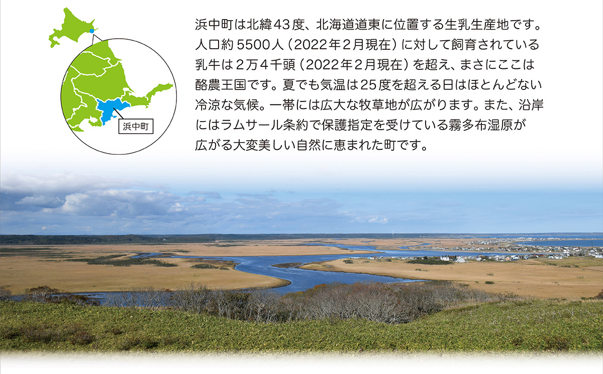 浜中町は北緯43度、北海道道東に位置する生乳生産地です。人口約5500人（2022年2月現在）に対して飼育されている乳牛は2万4千頭（2022年2月現在）を超え、まさにここは酪農王国です。夏でも気温は25度を超える日はほとんどない冷涼な気候。一帯には広大な牧草地が広がります。また、沿岸にはラムサール条約で保護指定を受けている霧多布湿原が広がる大変美しい自然に恵まれた町です。