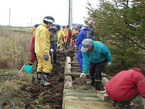 北海道 霧多布湿原保全活動