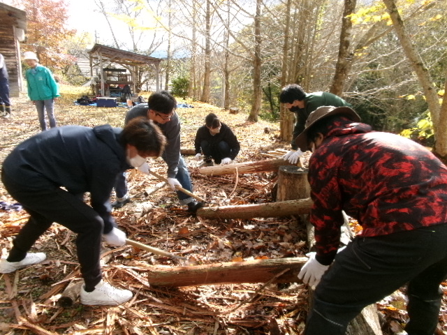 ヒノキの皮をはぐ作業の様子