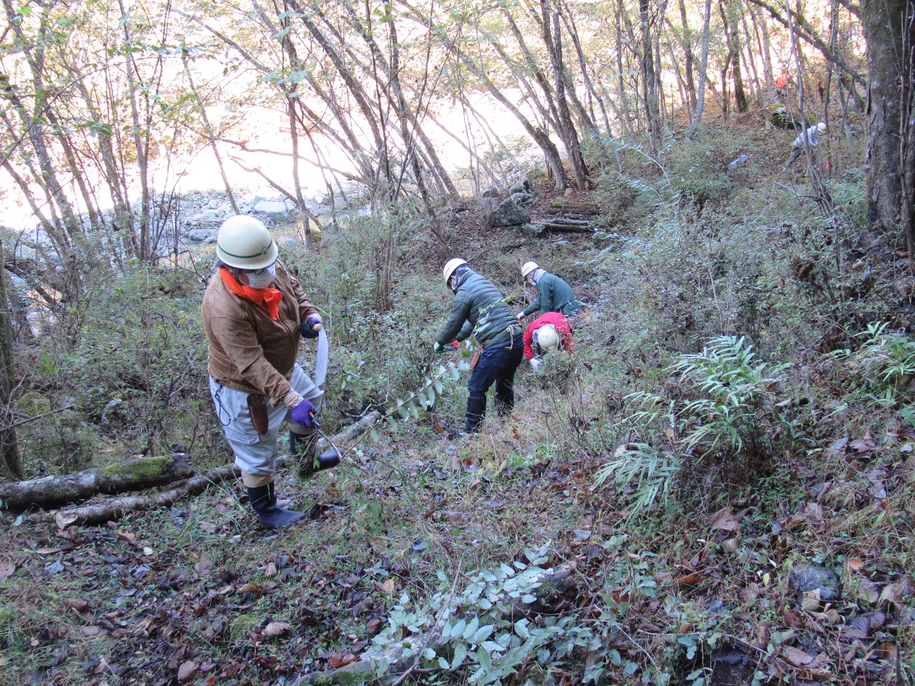 整備活動の様子