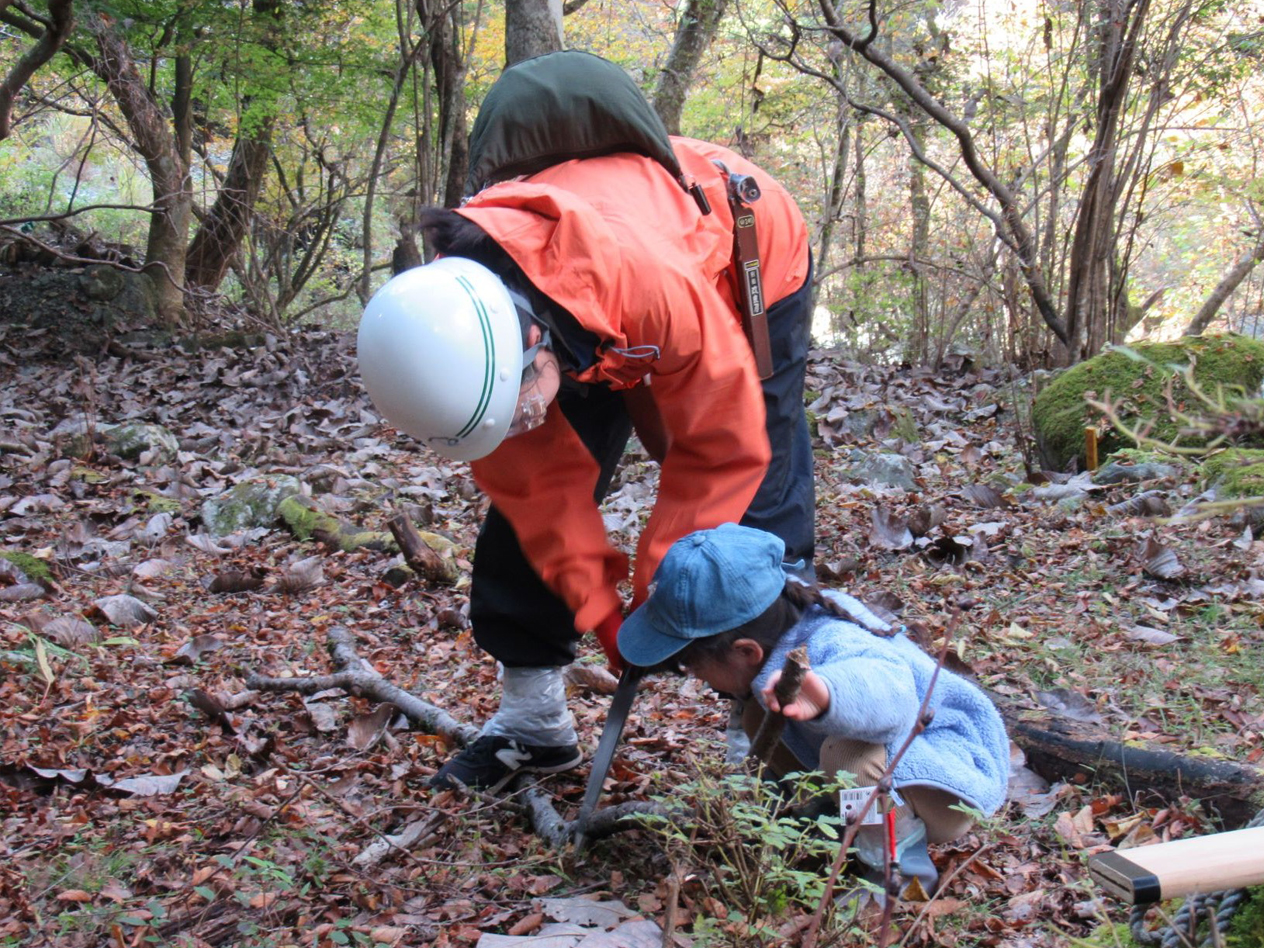 丸太運びの様子