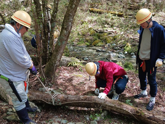 倒木の撤去作業の様子