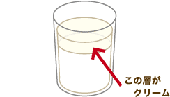 この層がクリーム