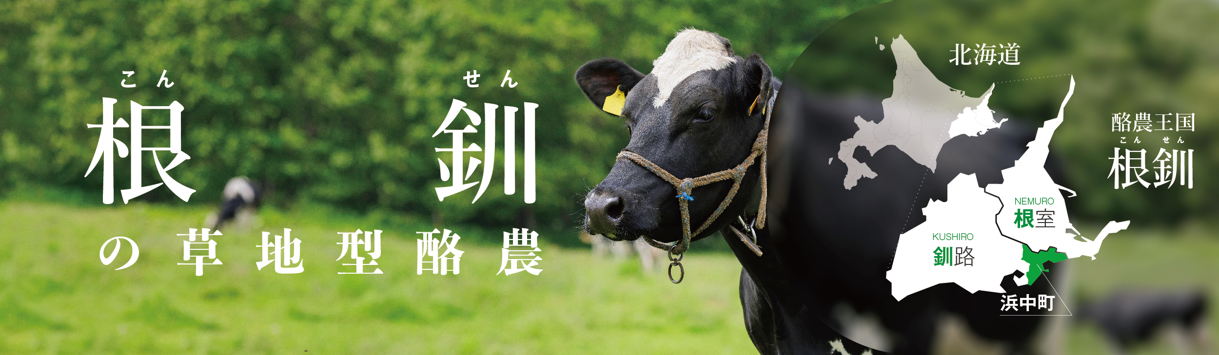 根釧