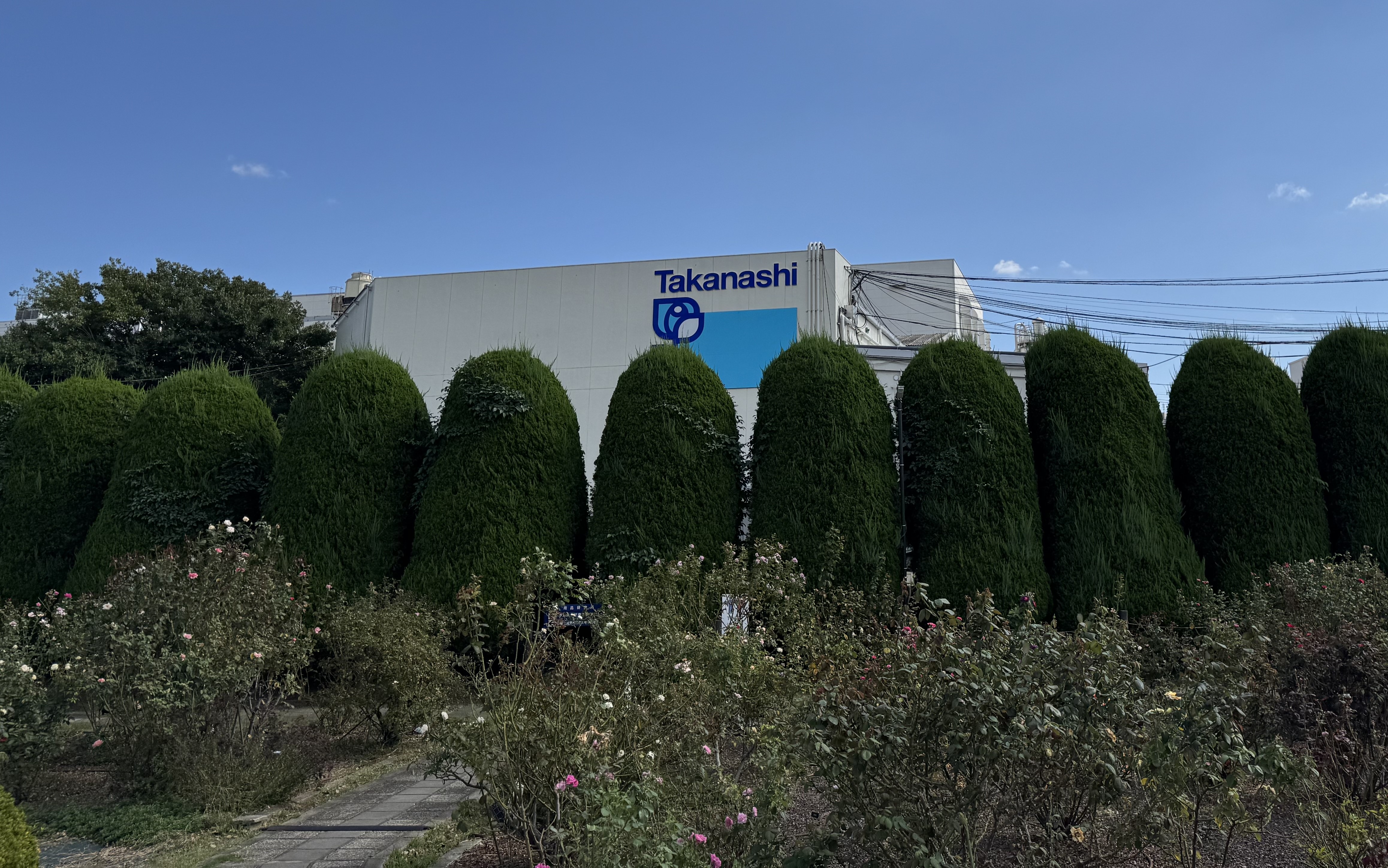 バラ園の様子