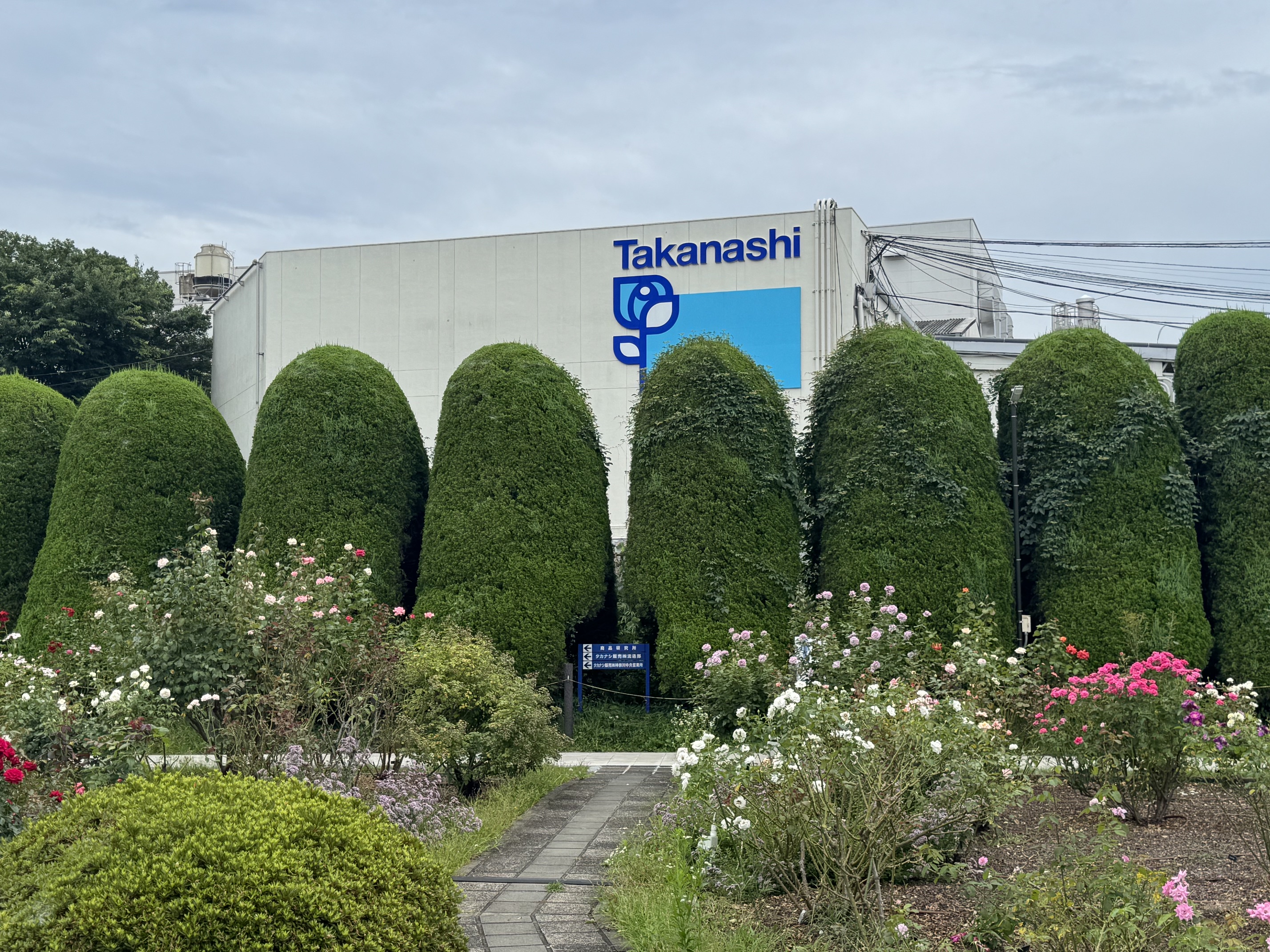 バラ園の様子