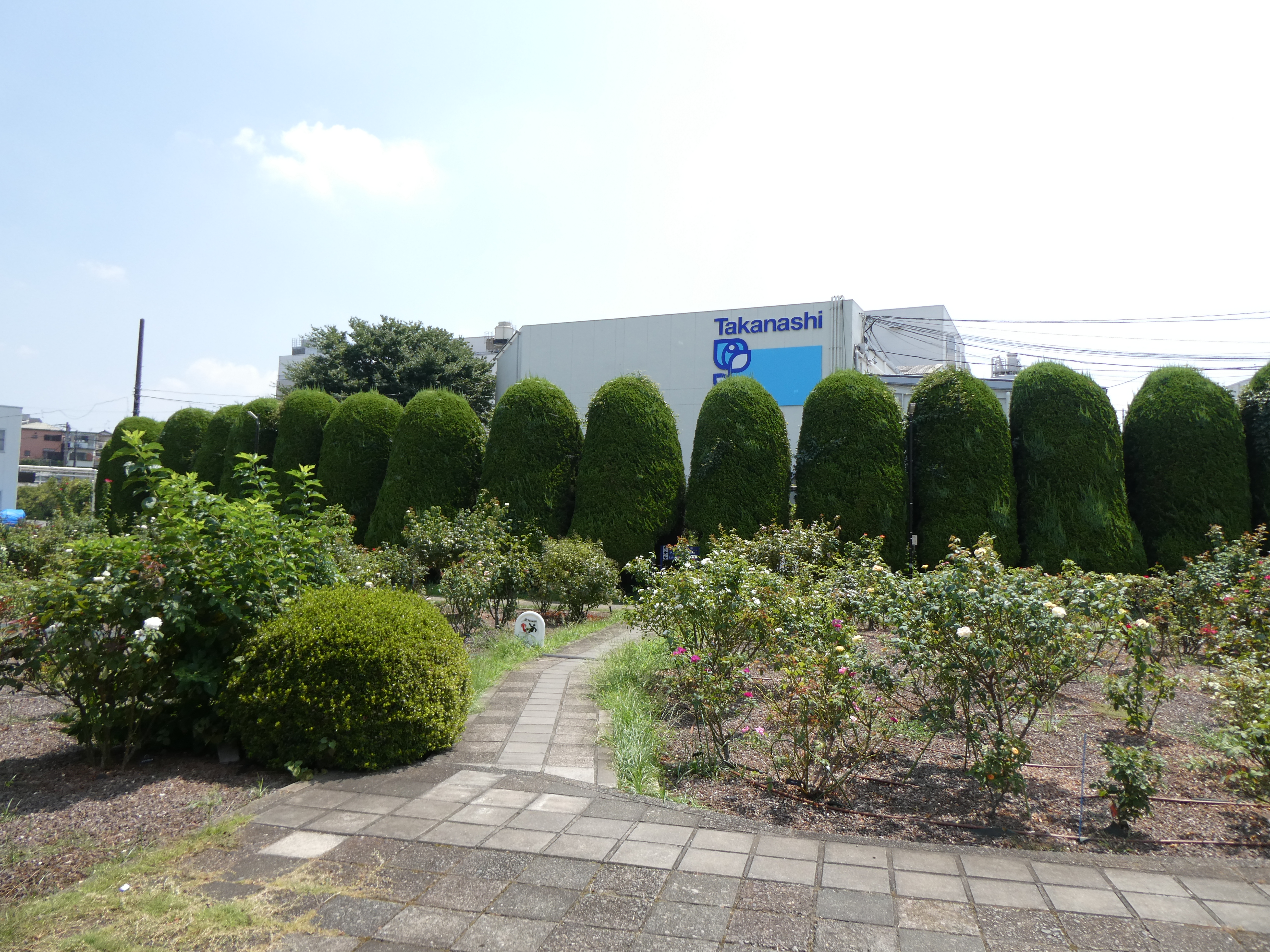 バラ園の様子