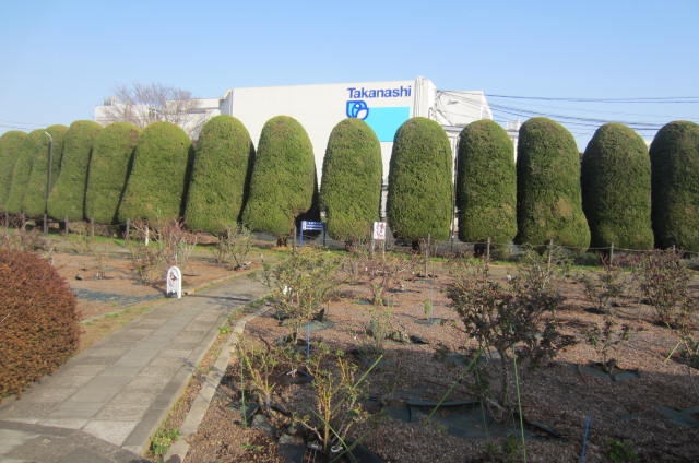バラ園の様子